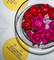 2013_covered_dish_geoffs_065